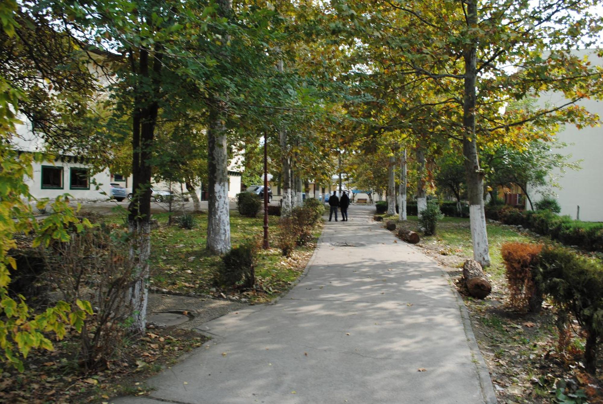 Complex Mediteranean Mamaia Kültér fotó
